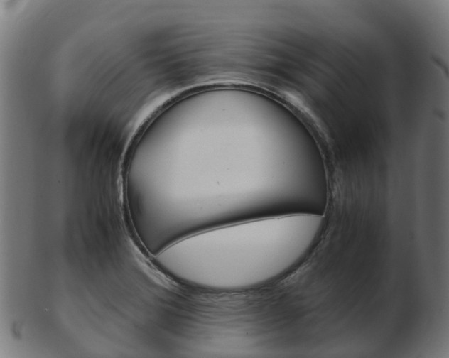 X0000103501372200809121003