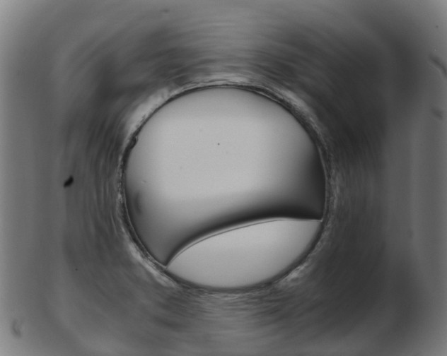 X0000103501373200809121003