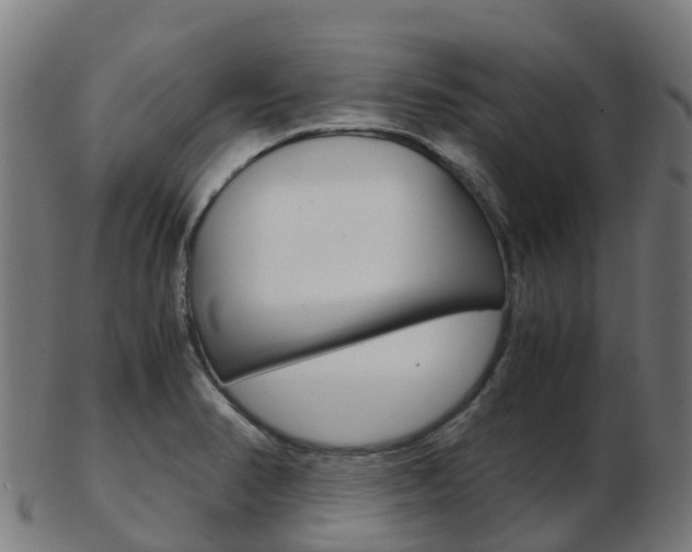 X0000103501374200809121003