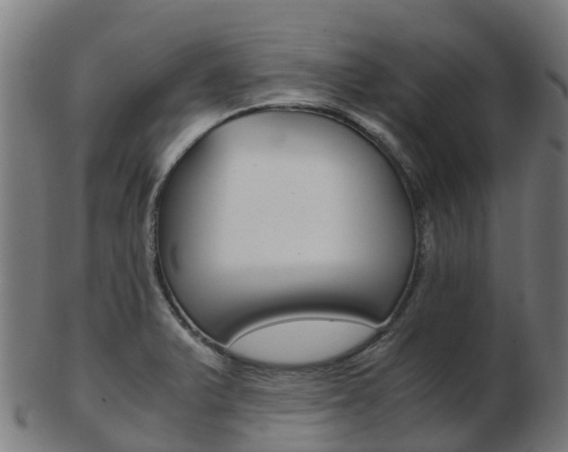X0000103501375200809121003