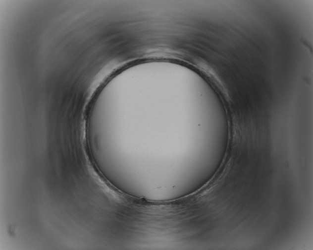 X0000103501376200809121003