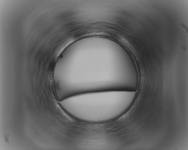 X0000103501377200809121003
