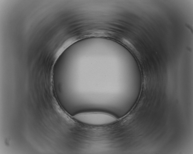 X0000103501378200809121003