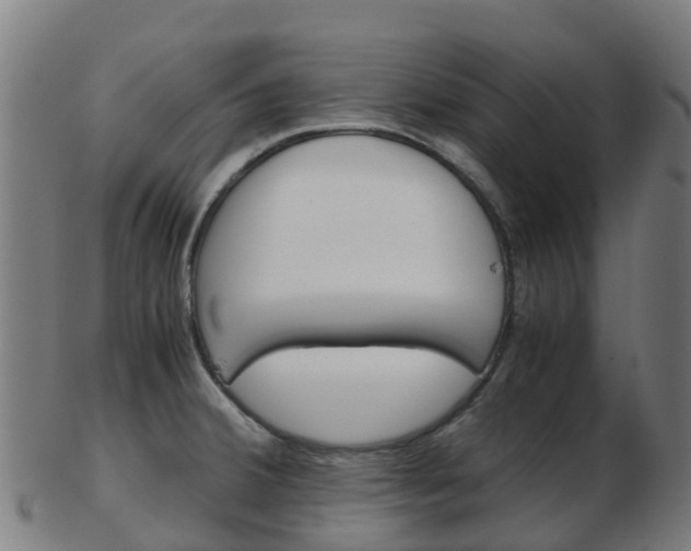 X0000103501380200809121002