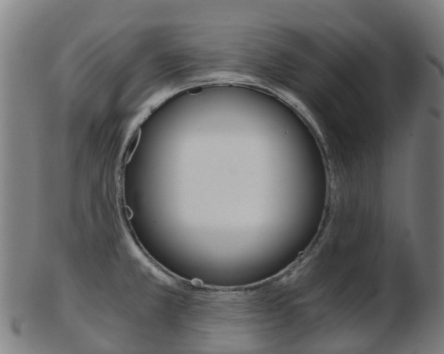 X0000103501381200809121002