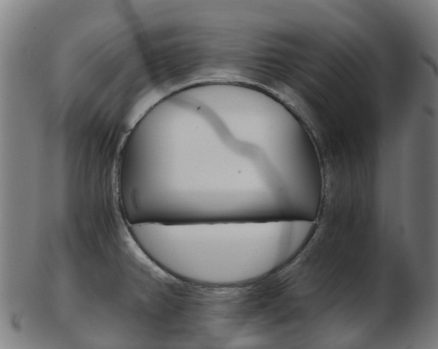 X0000103501382200809121002