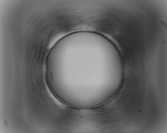 X0000103501383200809121002