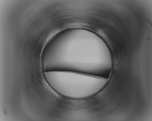 X0000103501384200809121002