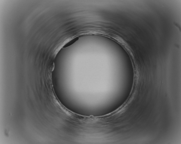 X0000103501385200809121002