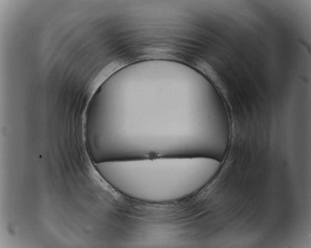 X0000103501386200809121002