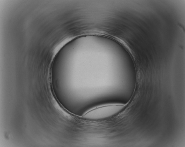 X0000103501387200809121002
