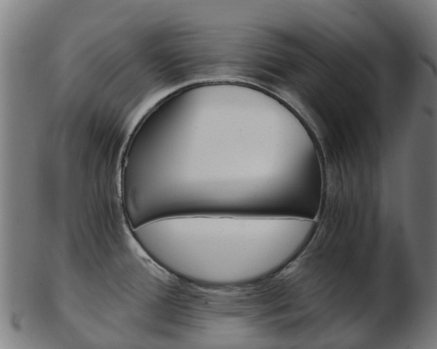 X0000103501388200809121002