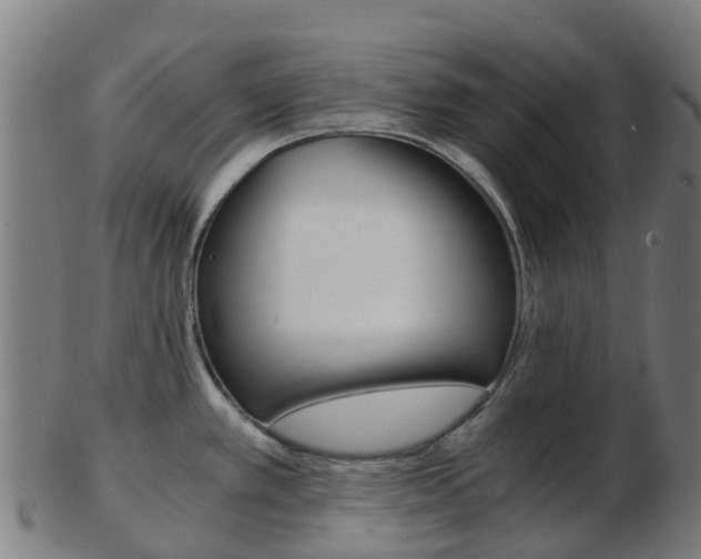 X0000103501389200809121002