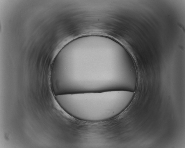 X0000103501390200809121002