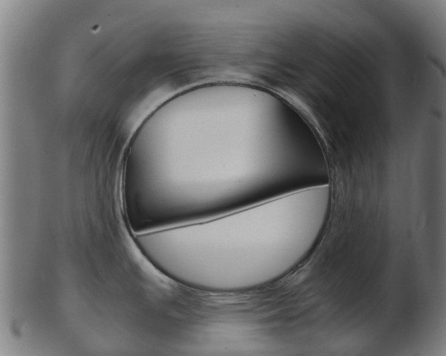 X0000103501391200809121002