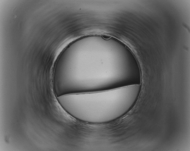 X0000103501392200809121002