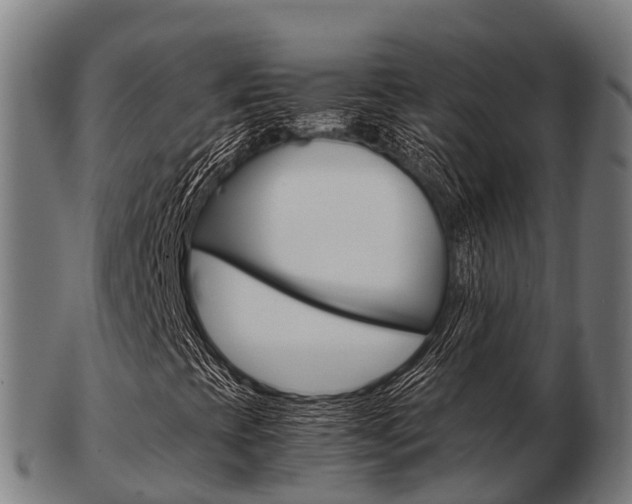 X0000103501393200809121002