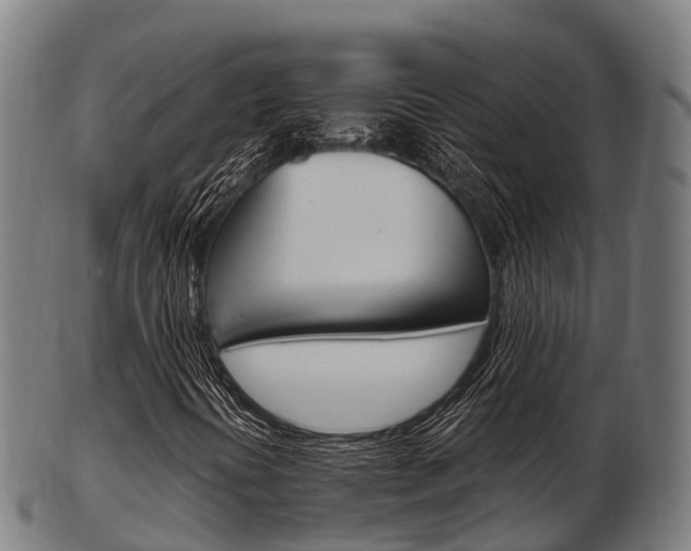 X0000103501394200809121002