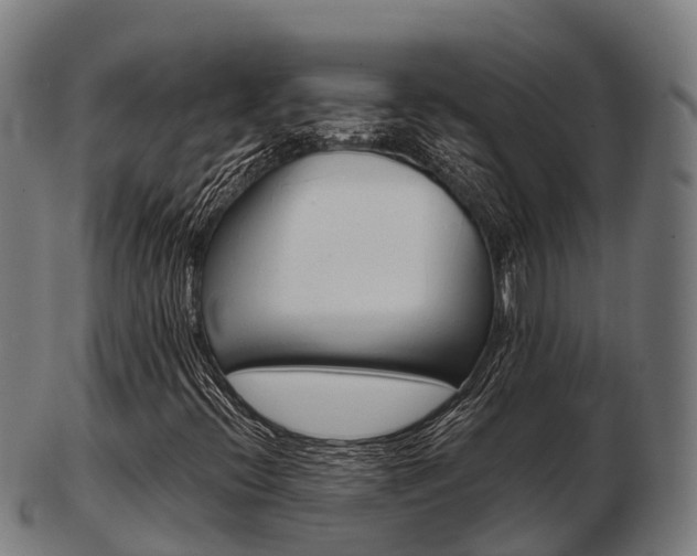 X0000103501396200809121002