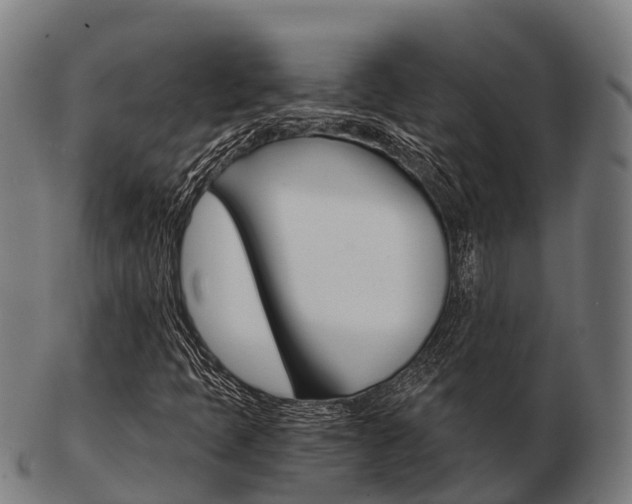 X0000103501397200809121002