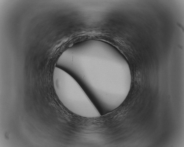X0000103501398200809121002