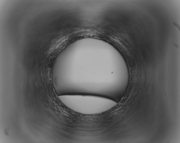 X0000103501399200809121002