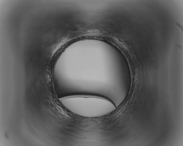 X0000103501400200809121002