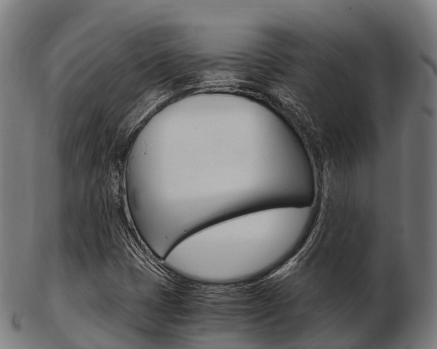 X0000103501401200809121002