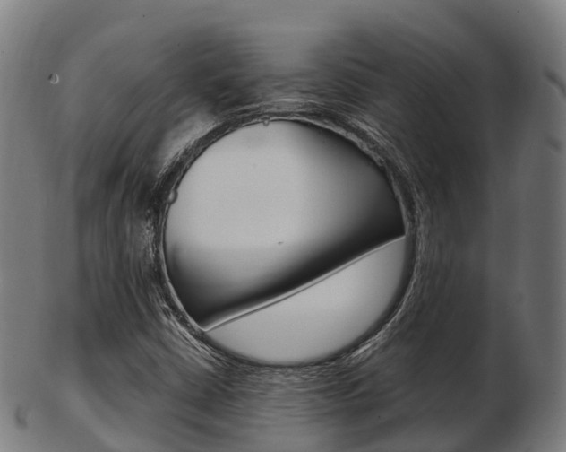 X0000103501402200809121002