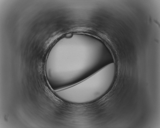 X0000103501404200809121002