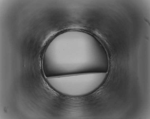 X0000103501408200809121002
