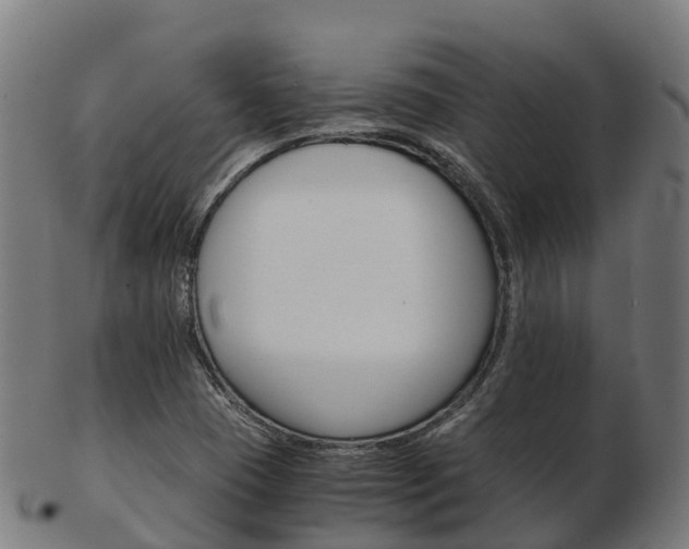 X0000103501409200809121002