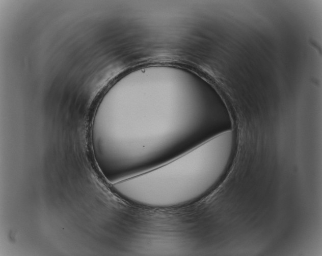 X0000103501410200809121002