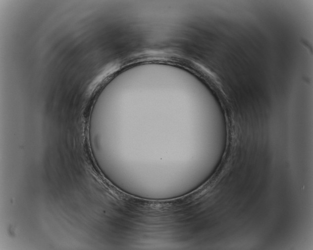X0000103501411200809121002