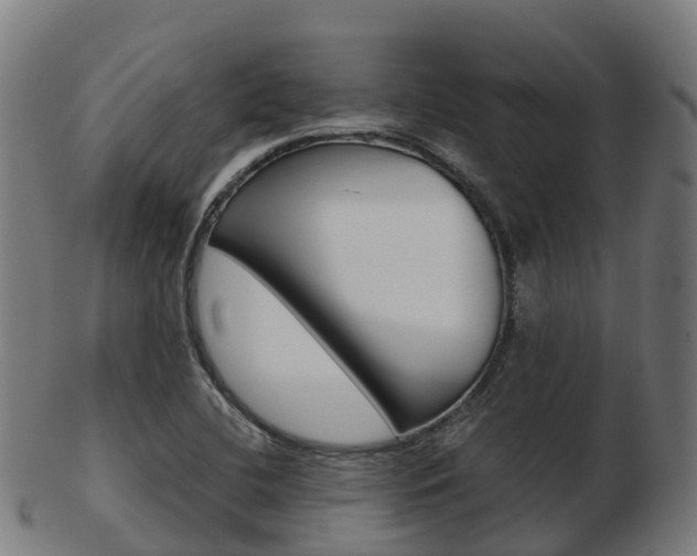 X0000103501412200809121002