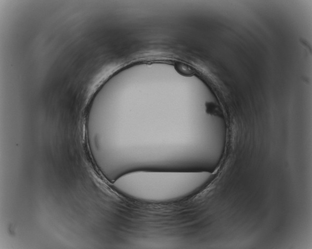 X0000103501413200809121002