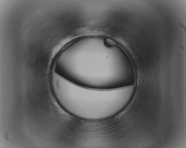 X0000103501414200809121002