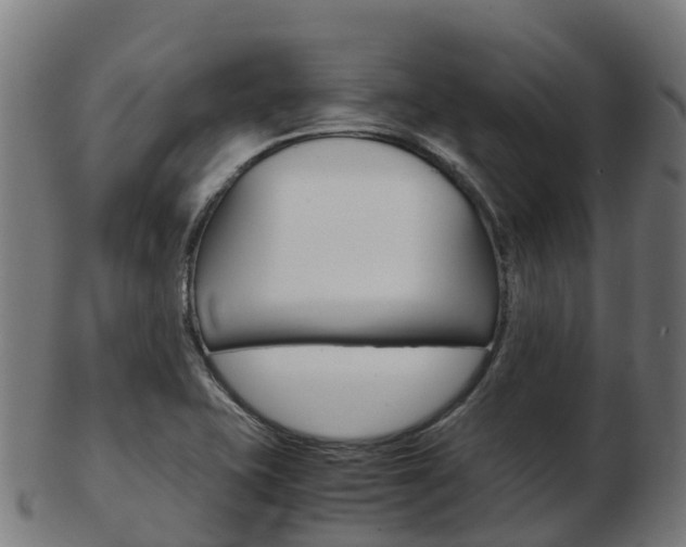 X0000103501415200809121002