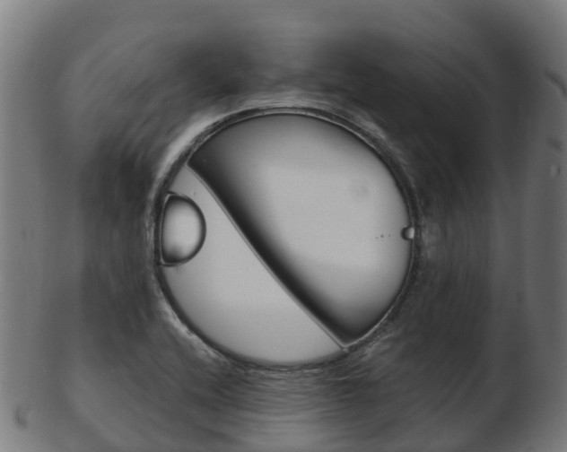 X0000103501416200809121002