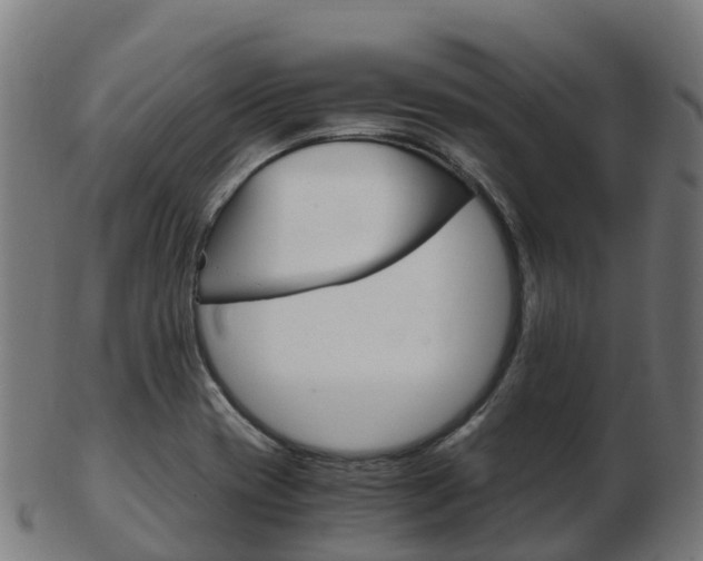 X0000103501417200809121002