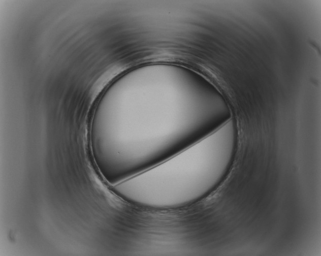 X0000103501418200809121002