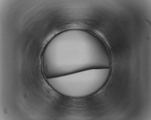 X0000103501419200809121002