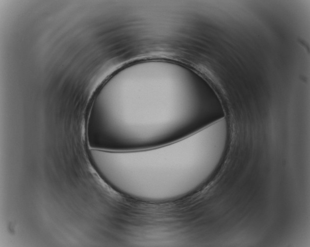 X0000103501420200809121002