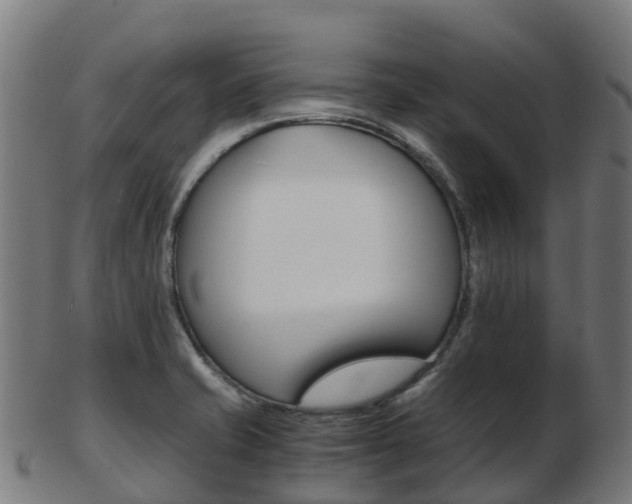 X0000103501421200809121002