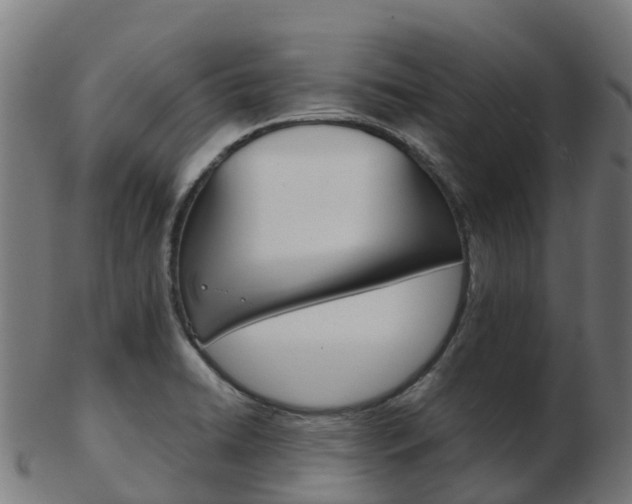 X0000103501422200809121002