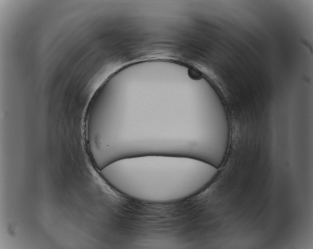 X0000103501423200809121002