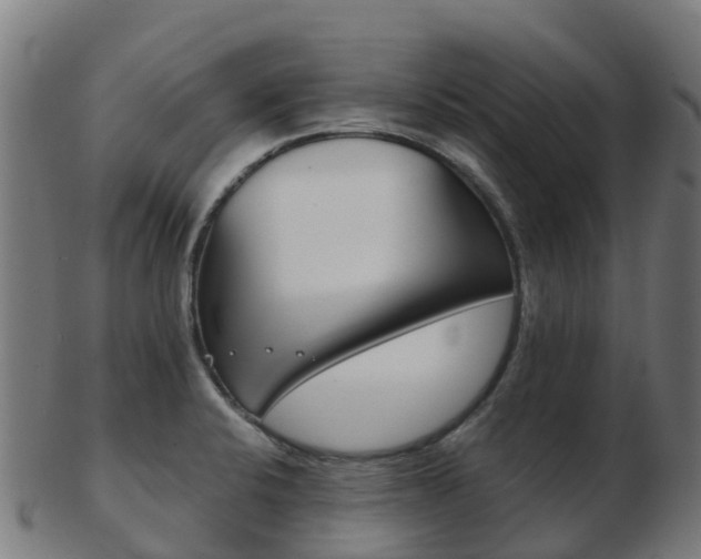 X0000103501424200809121002