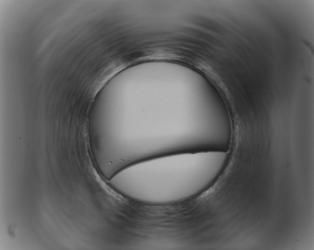 X0000103501425200809121002