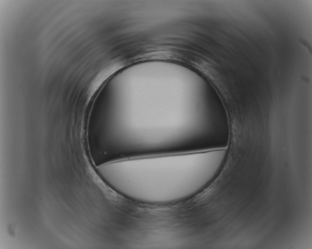 X0000103501426200809121002
