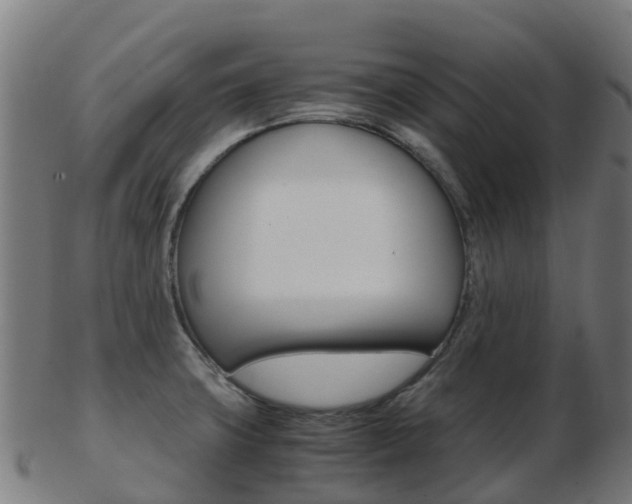 X0000103501427200809121002